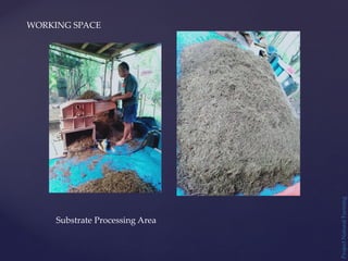 Project
Natural
Farming
WORKING SPACE
Substrate Processing Area
 