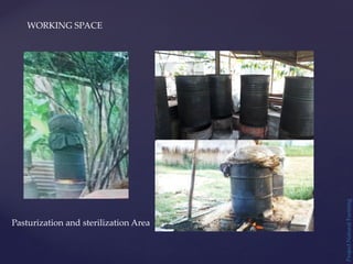 Project
Natural
Farming
WORKING SPACE
Pasturization and sterilization Area
 