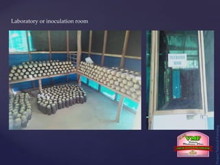 Laboratory or inoculation room
Project
Natural
Farming
 
