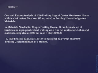BUDGET
Project
Natural
Farming
Cost and Return Analysis of 1000 Fruiting bags of Oyster Mushroom House
within a 3x4 meters floor area (12 sq. mtrs.) as Fruiting House-Indigenous
Materials.
A.Materials Needed for 12sq.m Fruiting House. It can be made up of
bamboo and nipa, plastic sheet walling with fine net ventilation. Labor and
materials computed as 1000 per sq.m = Php12,000.00
B. 1000 Fruiting Bags, size 7X14 @ 40 pesos per bag = Php 40,000.00;
Fruiting Cycle: minimum of 3 months.
 