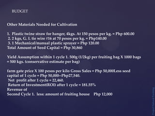 BUDGET
Project
Natural
Farming
Other Materials Needed for Cultivation
1. Plastic twine straw for hanger, 4kgs. At 150 pesos per kg. = Php 600.00
2. 2 kgs, G. I. tie wire #16 at 70 pesos per kg. = Php140.00
3. 1 Mechanical/manual plastic sprayer = Php 120.00
Total Amount of Seed Capital = Php 30,860
Yield Assumption within 1 cycle 1. 500g (1/2kg) per fruiting bag X 1000 bags
= 500 kgs. (conservative estimate per bag)
farm gate price X 100 pesos per kilo Gross Sales = Php 50,000Less seed
capital of 1 cycle = Php 50,000--Php27,540.
Net profit after 1 cycle = 22,460.
Return of Investment(ROI) after 1 cycle = 181.55%
Revenue of
Second Cycle 1. less: amount of fruiting house Php 12,000
 