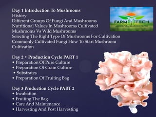 Day 1 Introduction To Mushrooms
History
Different Groups Of Fungi And Mushrooms
Nutritional Values In Mushrooms Cultivated
Mushrooms Vs Wild Mushrooms
Selecting The Right Type Of Mushrooms For Cultivation
Commonly Cultivated Fungi How To Start Mushroom
Cultivation
Day 2 • Production Cycle PART 1
• Preparation Of Pure Culture
• Preparation Of Grain Culture
• Substrates
• Preparation Of Fruiting Bag
Day 3 Production Cycle PART 2
• Incubation
• Fruiting The Bag
• Care And Maintenance
• Harvesting And Post Harvesting
 