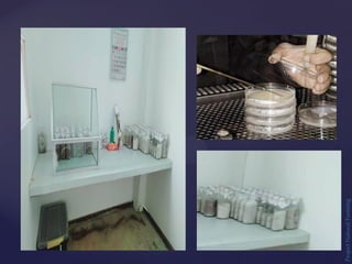 Project
Natural
Farming
 