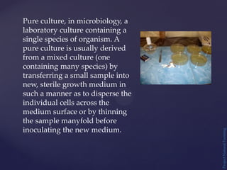 Project
Natural
Farming
Pure culture, in microbiology, a
laboratory culture containing a
single species of organism. A
pure culture is usually derived
from a mixed culture (one
containing many species) by
transferring a small sample into
new, sterile growth medium in
such a manner as to disperse the
individual cells across the
medium surface or by thinning
the sample manyfold before
inoculating the new medium.
 