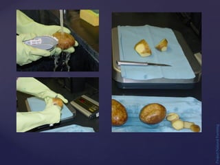 Project
Natural
Farming
 