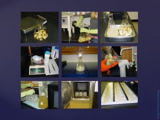 Project
Natural
Farming
 