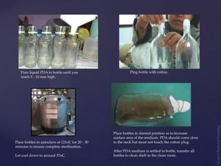 Project
Natural
Farming
Pour liquid PDA in bottle until you
reach 5 - 10 mm high.
Plug bottle with cotton.
Place bottles in autoclave at 121oC for 20 - 30
minutes to ensure complete sterilization.
Let cool down to around 37oC.
Place bottles in slanted position as to increase
surface area of the medium. PDA should come close
to the neck but must not touch the cotton plug.
After PDA medium is settled in bottle, transfer all
bottles to clean shelf in the clean room.
 