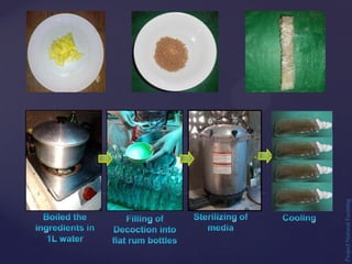 Project
Natural
Farming
 