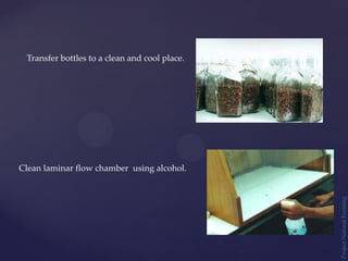 Project
Natural
Farming
Transfer bottles to a clean and cool place.
Clean laminar flow chamber using alcohol.
 