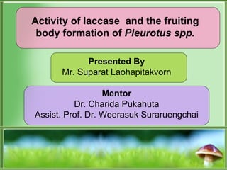 Activity of laccase  and the fruiting body formation of  Pleurotus spp . Presented By Mr. Suparat Laohapitakvorn Mentor Dr. Charida Pukahuta Assist. Prof. Dr. Weerasuk   Suraruengchai 
