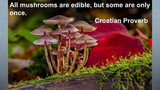 All mushrooms are edible, but some are only
once.
– Croatian Proverb
 