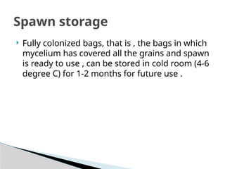 mushroom - preparation of spawn in detail | PPTX