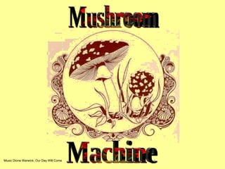 Mushroom Machine Music Dione Warwick; Our Day Will Come 