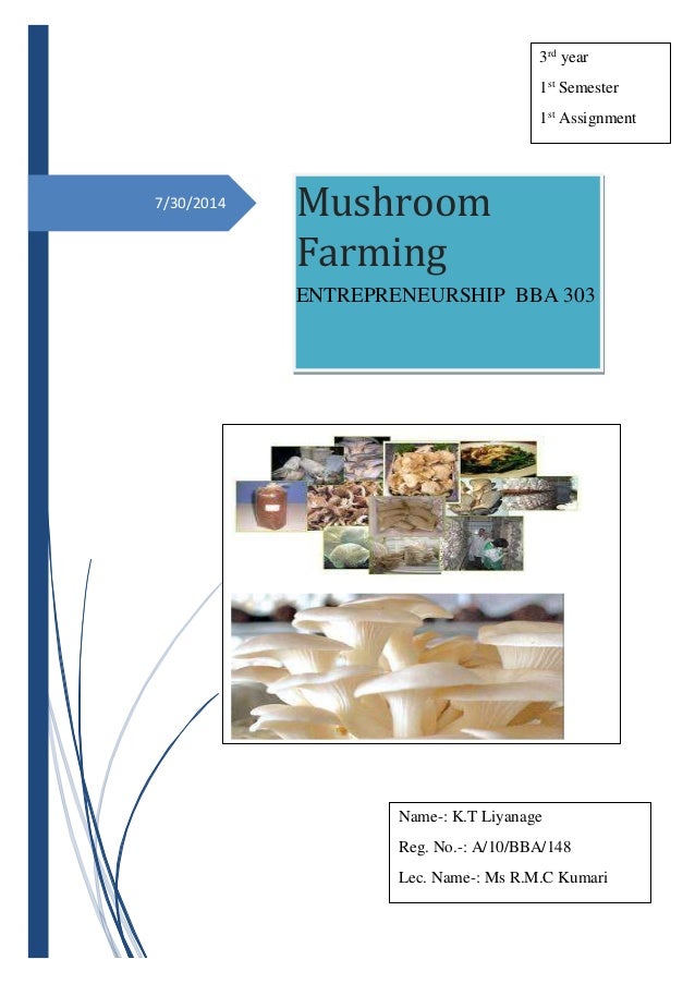 mushroom production business plan pdf