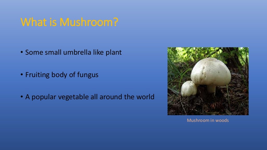 Mushroom cultivation