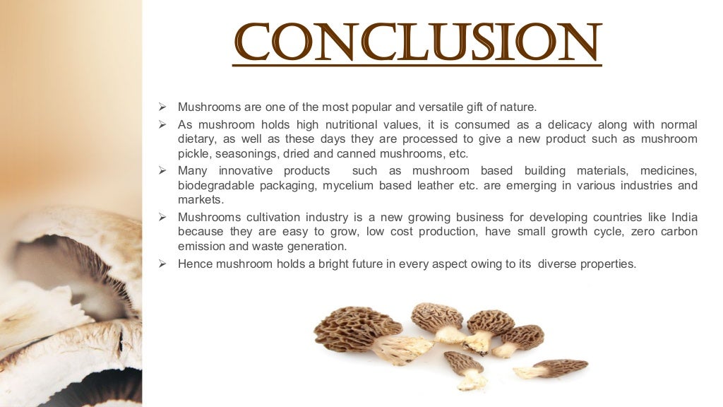 MUSHROOM CULTIVATION AND ITS IMPORTANCE