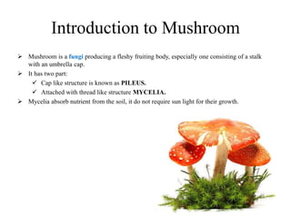Introduction to Mushroom
Mushroom is a fungi producing a fleshy fruiting body, especially one consisting of a stalk
with an umbrella cap.
It has two part:
Cap like structure is known as PILEUS.
Attached with thread like structure MYCELIA.
Mycelia absorb nutrient from the soil, it do not require sun light for their growth.