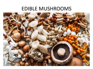 EDIBLE MUSHROOMS