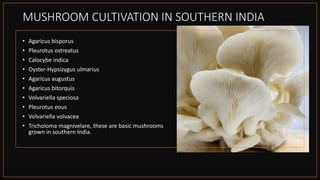 MUSHROOM CULTIVATION1 AND TECHNOLOGY.pptx