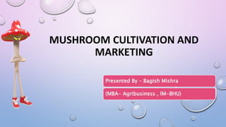 MUSHROOM CULTIVATION AND
MARKETING
Presented By – Bagish Mishra
(MBA- Agribusiness , IM-BHU)
 