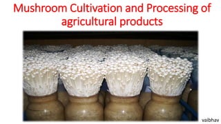 Mushroom Cultivation and Processing of
agricultural products
vaibhav
 