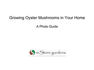 Growing Oyster Mushrooms in Your Home
A Photo Guide

 