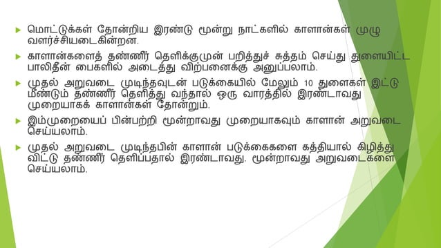 Mushroom cultivation in tamil | PPT