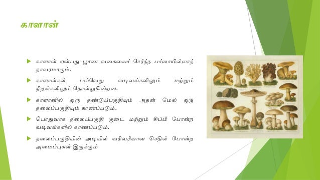 Mushroom cultivation in tamil
