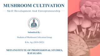 MUSHROOM CULTIVATION
Submitted By :
Students of Mushroom Cultivation Group
B.Sc. Ag. (2018-2022)
Skill Development And Entrepreneurship
MITS INSTITUTE OF PROFESSIONAL STUDIES,
RAYAGADA
 