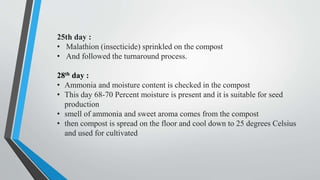 25th day :
• Malathion (insecticide) sprinkled on the compost
• And followed the turnaround process.
28th day :
• Ammonia and moisture content is checked in the compost
• This day 68-70 Percent moisture is present and it is suitable for seed
production
• smell of ammonia and sweet aroma comes from the compost
• then compost is spread on the floor and cool down to 25 degrees Celsius
and used for cultivated
 