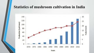 Statistics of mushroom cultivation in India
 