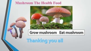 MUSHROOM CULTURE.pptx