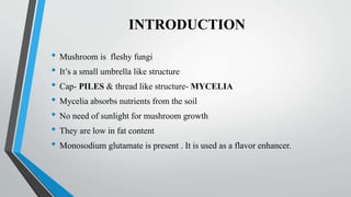 INTRODUCTION
• Mushroom is fleshy fungi
• It’s a small umbrella like structure
• Cap- PILES & thread like structure- MYCELIA
• Mycelia absorbs nutrients from the soil
• No need of sunlight for mushroom growth
• They are low in fat content
• Monosodium glutamate is present . It is used as a flavor enhancer.
 