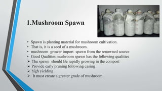 1.Mushroom Spawn
• Spawn is planting material for mushroom cultivation.
• That is, it is a seed of a mushroom.
• mushroom grower import spawn from the renowned source
• Good Qualities mushroom spawn has the following qualities
 The spawn should Be rapidly growing in the compost
 Provide early pruning following casing
 high yielding
 It must create a greater grade of mushroom
 
