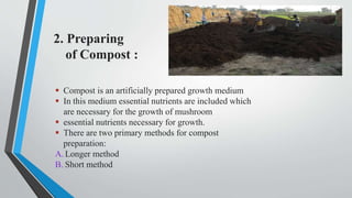 2. Preparing
of Compost :
 Compost is an artificially prepared growth medium
 In this medium essential nutrients are included which
are necessary for the growth of mushroom
 essential nutrients necessary for growth.
 There are two primary methods for compost
preparation:
A. Longer method
B. Short method
 