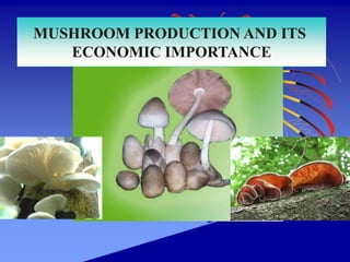 MUSHROOM PRODUCTION AND ITS
ECONOMIC IMPORTANCE
 