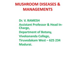 MUSHROOM DISEASES &
MANAGEMENTS
Dr. V. RAMESH
Assistant Professor & Head In-
Charge,
Department of Botany,
Vivekananda College,
Tiruvedakam West – 625 234
Madurai.
 