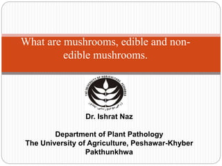 Dr. Ishrat Naz
Department of Plant Pathology
The University of Agriculture, Peshawar-Khyber
Pakthunkhwa
What are mushrooms, edible and non-
edible mushrooms.
 