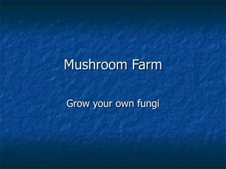 Mushroom Farm Grow your own fungi 