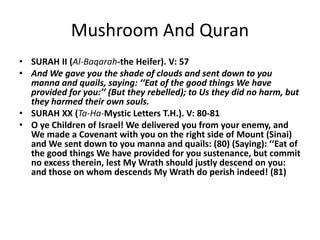 Mushroom And Quran
• SURAH II (Al-Baqarah-the Heifer). V: 57
• And We gave you the shade of clouds and sent down to you
manna and quails, saying: ‘‘Eat of the good things We have
provided for you:’’ (But they rebelled); to Us they did no harm, but
they harmed their own souls.
• SURAH XX (Ta-Ha-Mystic Letters T.H.). V: 80-81
• O ye Children of Israel! We delivered you from your enemy, and
We made a Covenant with you on the right side of Mount (Sinai)
and We sent down to you manna and quails: (80) (Saying): ‘‘Eat of
the good things We have provided for you sustenance, but commit
no excess therein, lest My Wrath should justly descend on you:
and those on whom descends My Wrath do perish indeed! (81)
 