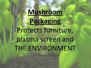 Mushroom
Packaging
Protects furniture,
plasma screen and
THE ENVIRONMENT
 