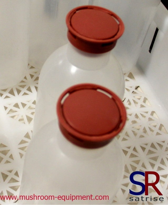 Mushroom plastic bottles