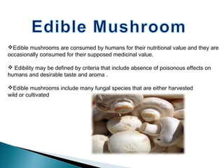 Edible mushrooms are consumed by humans for their nutritional value and they are
occasionally consumed for their supposed medicinal value.
 Edibility may be defined by criteria that include absence of poisonous effects on
humans and desirable taste and aroma .
Edible mushrooms include many fungal species that are either harvested
wild or cultivated
 
