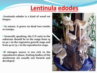 Lentinula edodes
Lentinula edodes is a kind of wood rot
fungus.
 In nature, it grows on dead tree trunks
or stumps.
 Generally speaking, the C:N ratio in the
substrate should be in the range from 25
to 40: 1 in the vegetative growth stage and
from 40 to 73: 1 in the reproductive stage.
If nitrogen source is too rich in the
reproductive phase, fruiting bodies of the
mushroom are usually not formed and
developed.
 