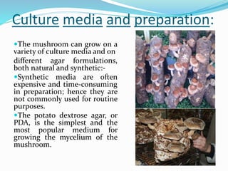 Culture media and preparation:
The mushroom can grow on a
variety of culture media and on
different agar formulations,
both natural and synthetic:-
Synthetic media are often
expensive and time-consuming
in preparation; hence they are
not commonly used for routine
purposes.
The potato dextrose agar, or
PDA, is the simplest and the
most popular medium for
growing the mycelium of the
mushroom.
 