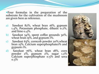 Four formulas in the preparation of the
substrate for the cultivation of the mushroom
are given here as reference.
a) Sawdust 82%, wheat bran 16%, gypsum
1.4%, Potassium phosphate, dibasic 0.2%,
and lime 0.4%.
b) Sawdust 54%, spent coffee grounds 30%,
wheat bran 15%, and gypsum 1%.
c) Sawdust 63%, corncob powder 20%,wheat
bran 15%, Calcium superphosphate1% and
gypsum 1%.
d) Sawdust 76%, wheat bran 18%, corn
powder 2%, gypsum 2%, sugar 1.2%
Calcium superphosphate 0.5% and urea
0.3%
 