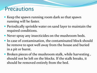 Precautions
 Keep the spawn running room dark so that spawn
running will be faster.
 Periodically sprinkle water on sand layer to maintain the
required conditions.
 Never spray any insecticides on the mushroom beds.
 In case of contamination, the contaminated block should
be remove to spot well away from the house and buried
in a pit or burnt.
 Broken pieces of the mushroom stalk, while harvesting ,
should not be left on the blocks. If the stalk breaks, it
should be removed entirely from the bed.
 