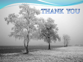 Medicinal Mushroom Cultivation