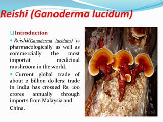 Reishi (Ganoderma lucidum)
Introduction
 Reishi(Ganoderma lucidum) is
pharmacologically as well as
commercially the most
importat medicinal
mushroom in the world.
 Current global trade of
about 2 billion dollers; trade
in India has crossed Rs. 100
crores annually through
imports from Malaysia and
China.
 