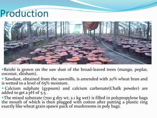 Production
Reishi is grown on the saw dust of the broad-leaved trees (mango, poplar,
coconut, shisham).
 Sawdust, obtained from the sawmills, is amended with 20% wheat bran and
is wetted to a level of 65% moisture.
 Calcium sulphate (gypsum) and calcium carbonate(Chalk powder) are
added to get a pH of 5.5 .
The mixed substrate (700 g dry wt; 2.1 kg wet) is filled in polypropylene bags
the mouth of which is then plugged with cotton after putting a plastic ring
exactly like wheat grain spawn pack of mushrooms in poly bags.
 